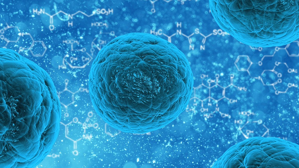 История лечения стволовыми клетками